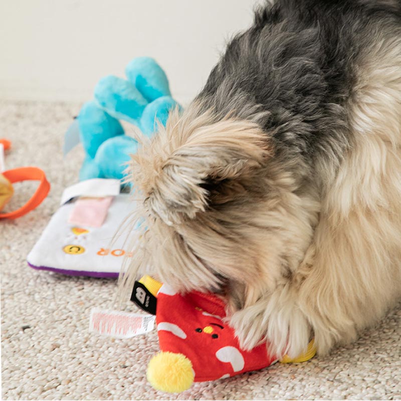 Cat in the outlet hat dog toy