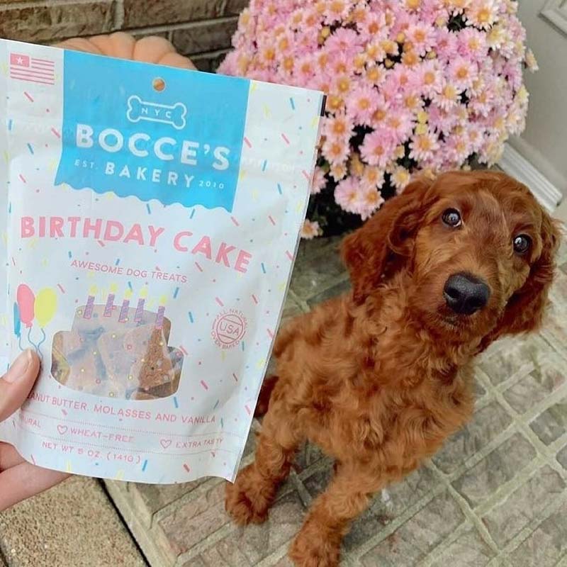 Bocce's Bakery Birthday Cake Dog Biscuits - 141g - CreatureLand