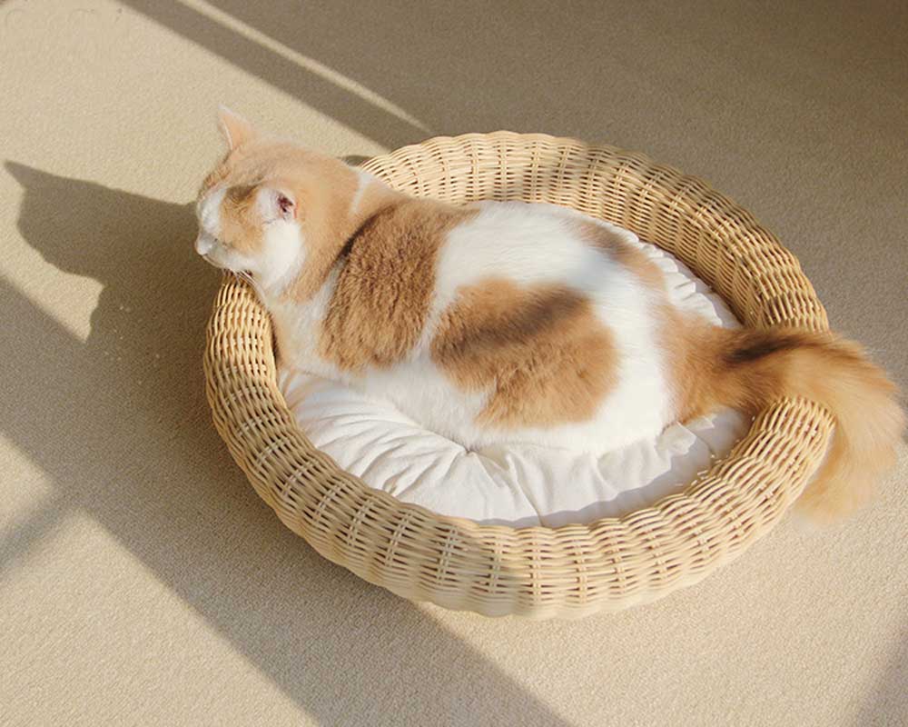 CatsCity Rattan Circle Pet Bed - CreatureLand