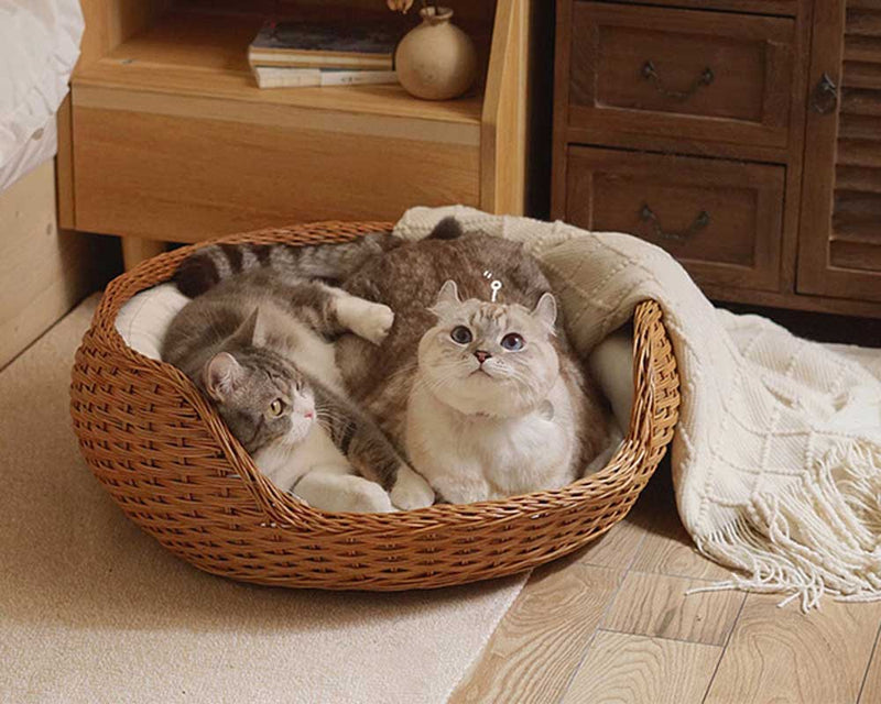 Curated visual reference: Gallery Detail: Catscity Rattan Nest Pet Bed