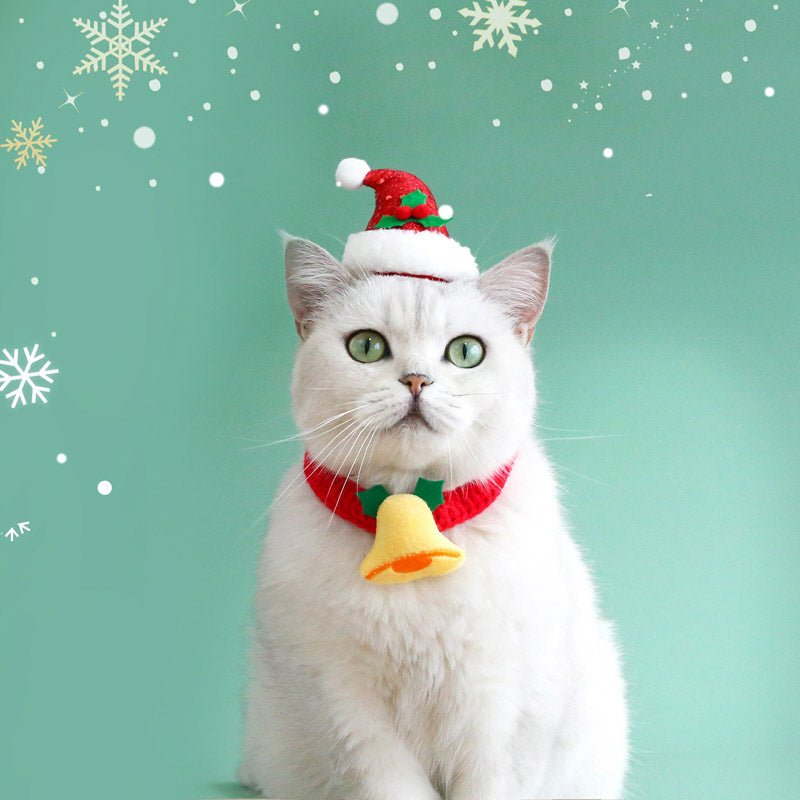 CreatureLand Christmas Cat Accessories & Toys Gift Box (Set of 6) - CreatureLand