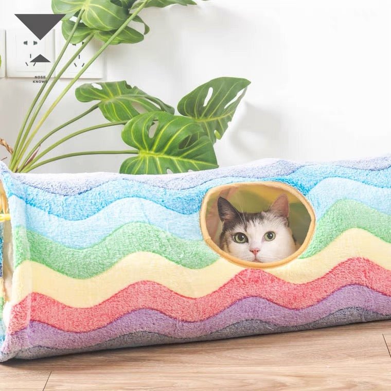 CreatureLand Rainbow Cat Tunnel - CreatureLand
