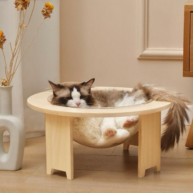 CreatureLand Space Dome Cat Bed - CreatureLand