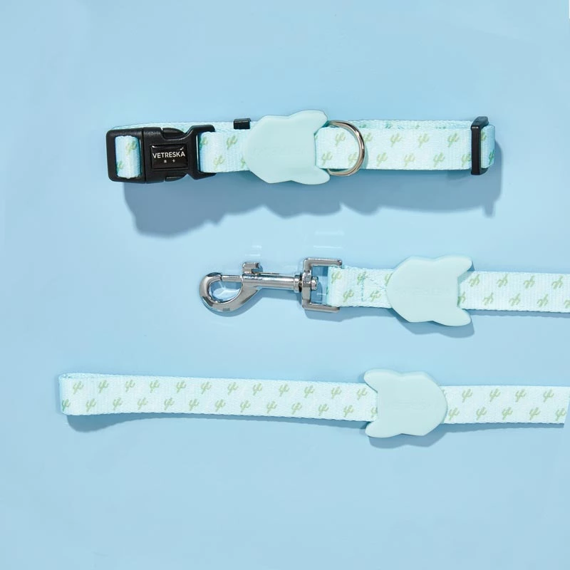 Vetreska Dog Collar and Leash - Blue Cactus | CreatureLand.