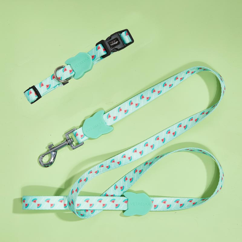 Vetreska Dog Collar and Leash - Green Watermelon | CreatureLand.
