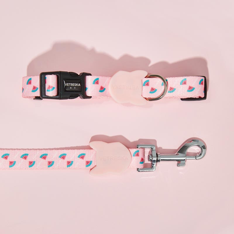 Vetreska Dog Collar and Leash - Pink Watermelon | CreatureLand.
