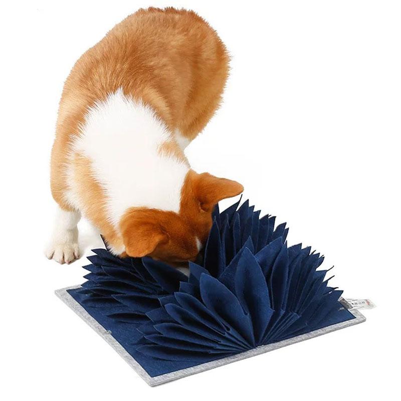 DogLemi Accordion Fold Snuffle Book Dog Toy | Blue - CreatureLand
