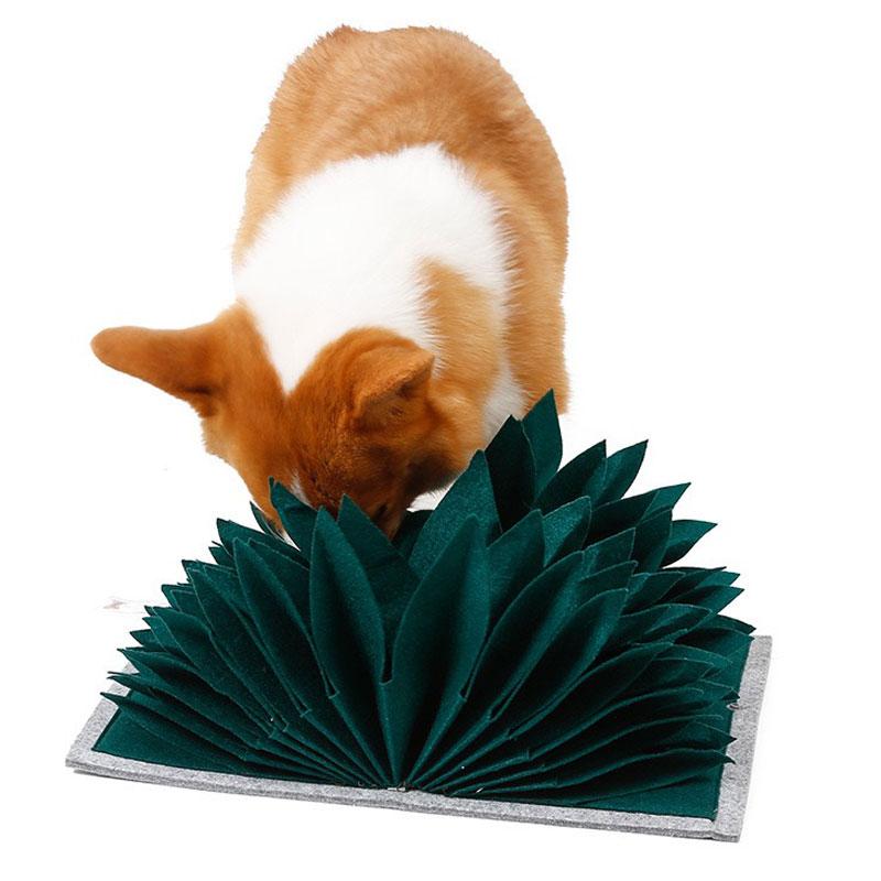 DogLemi Accordion Fold Snuffle Book Dog Toy | Green - CreatureLand