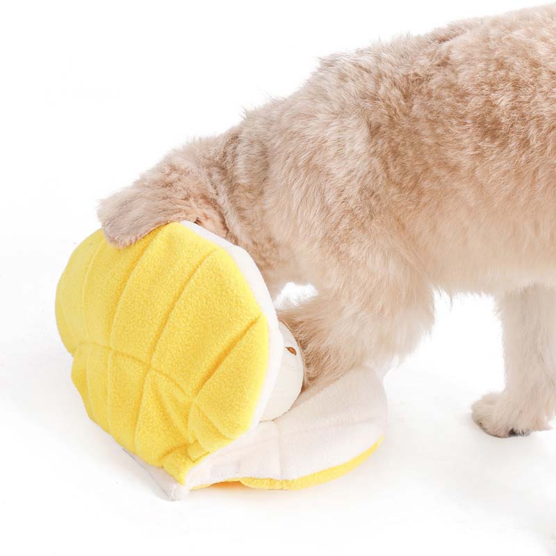 Clam discount dog toy