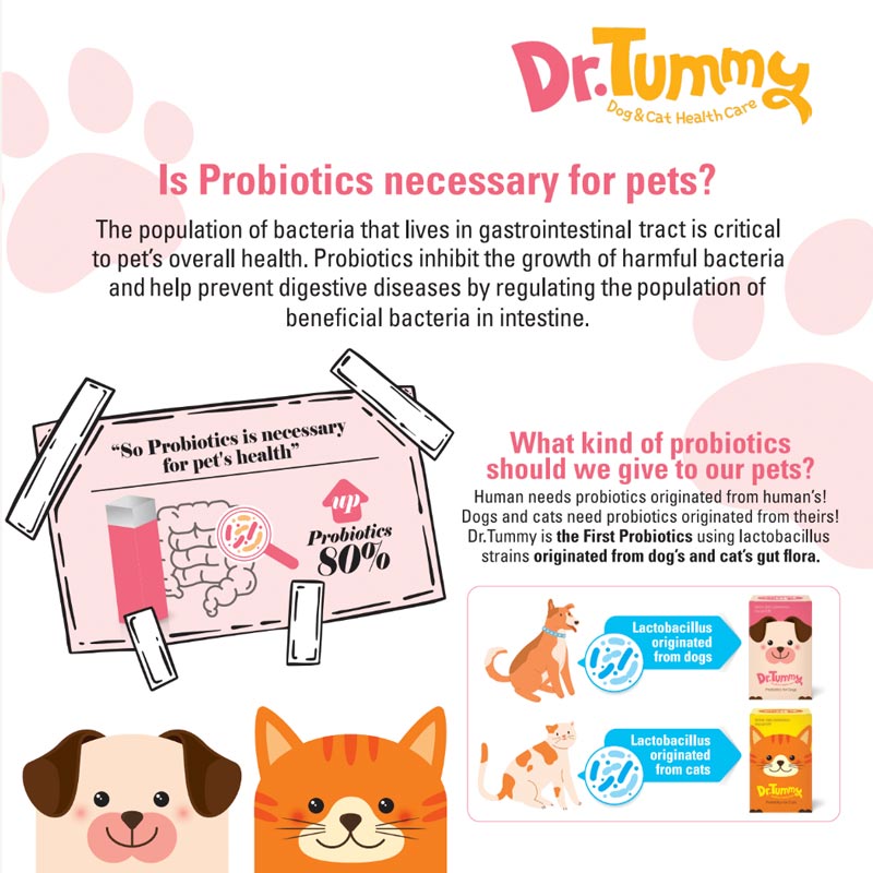Dr. Tummy Dr. Tummy Probiotics for Cats & Dogs - CreatureLand