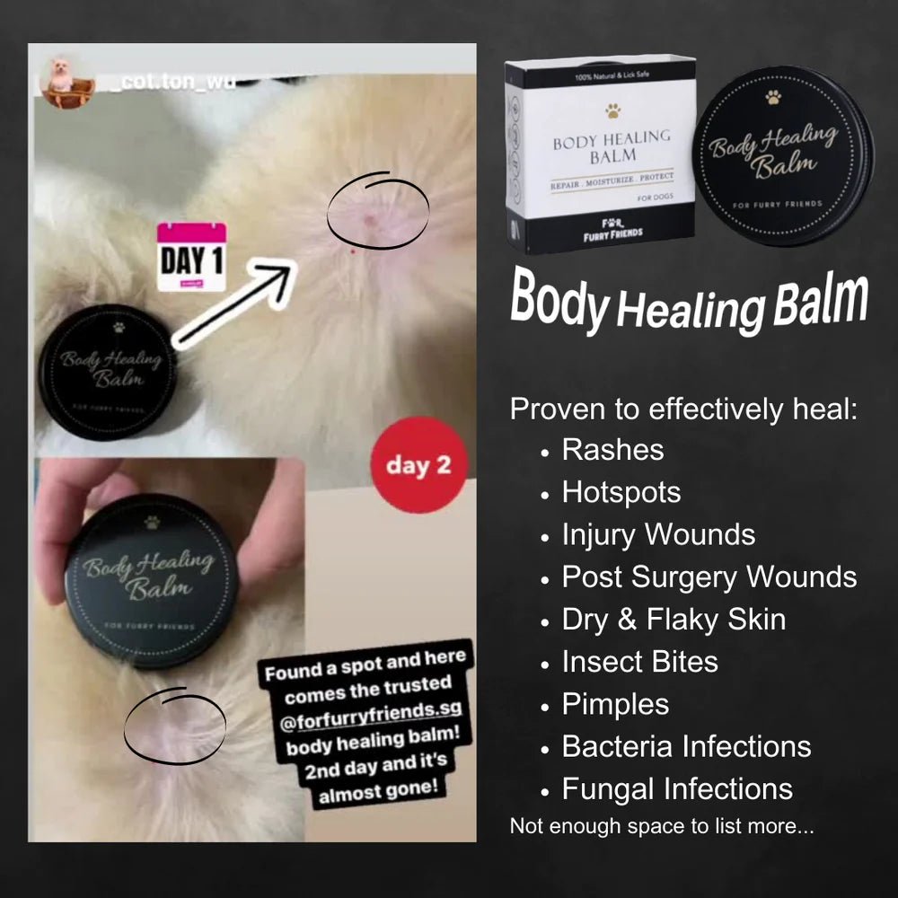 For Furry Friends Body Healing Balm (40g) - CreatureLand
