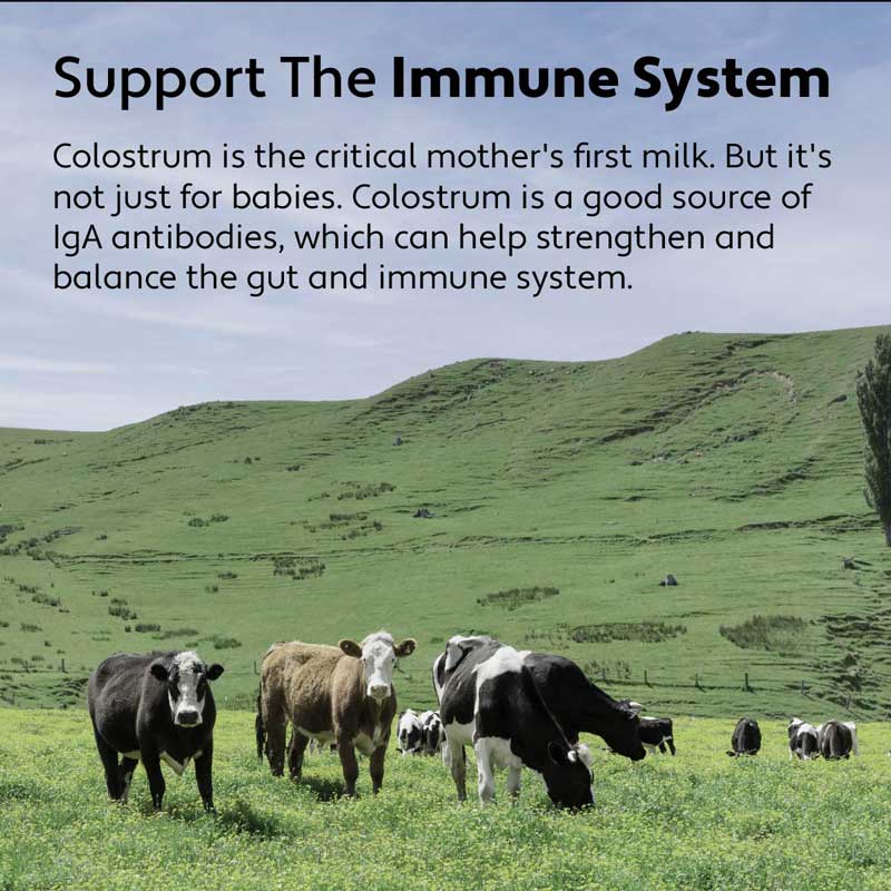 Wholistic Pet Organics Immune Balance Bovine Colostrum