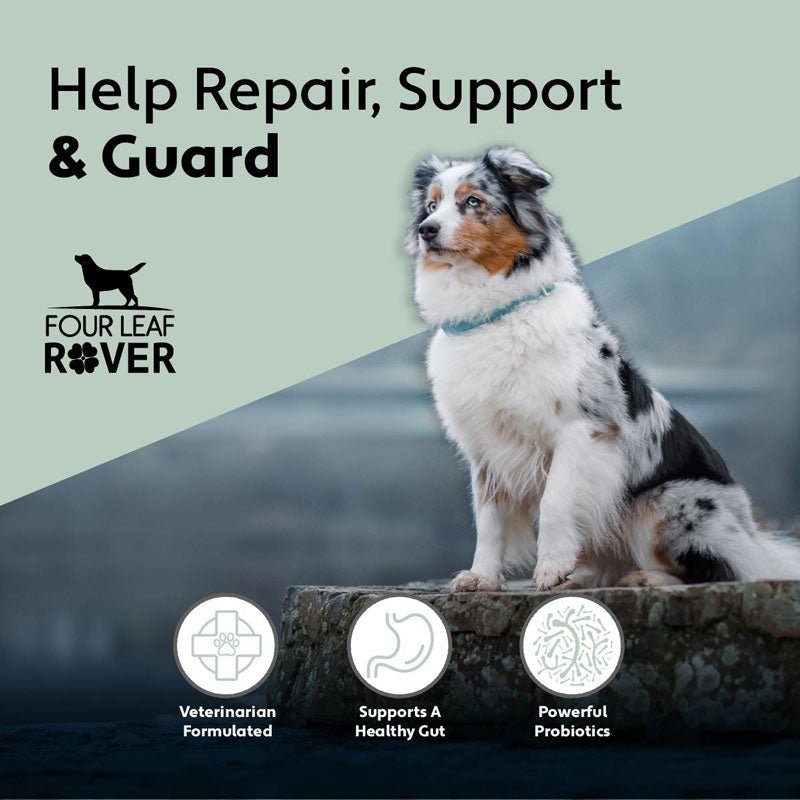 Four Leaf Rover Gut Guard - For Dogs With Irritated, Leaky Guts - CreatureLand