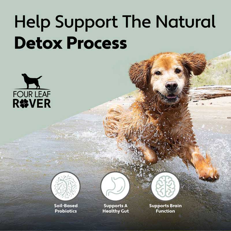 Probiotic support hot sale for dogs