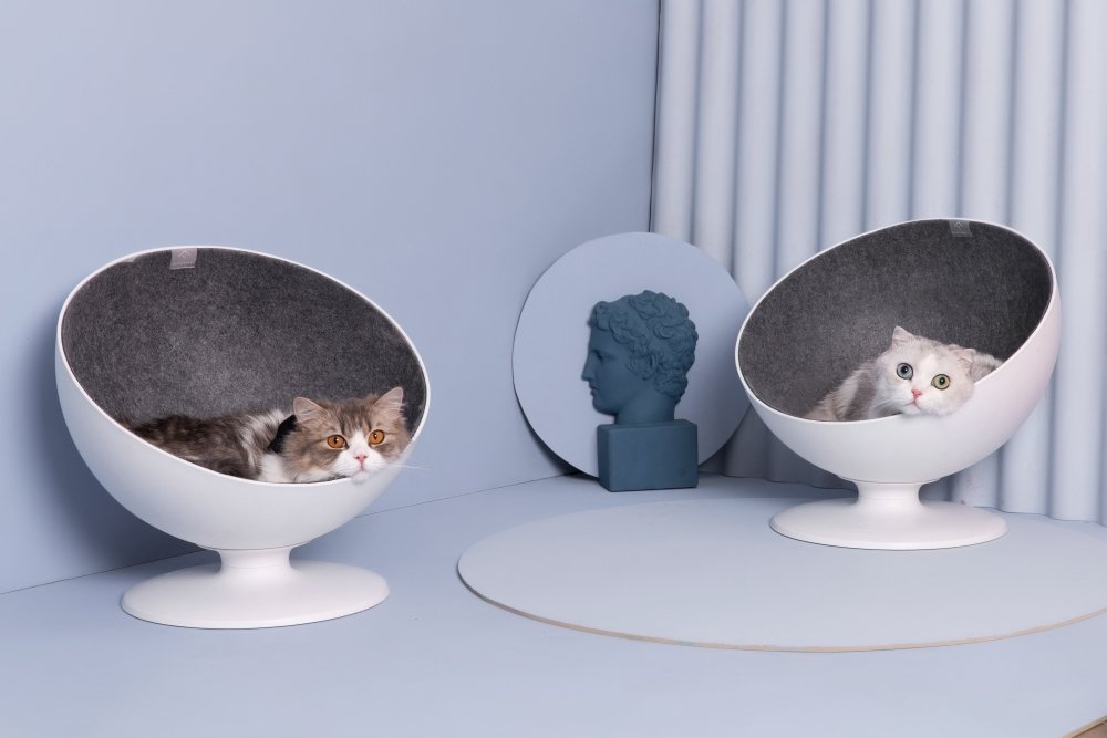 Furrytail Boss Cat Bed - CreatureLand