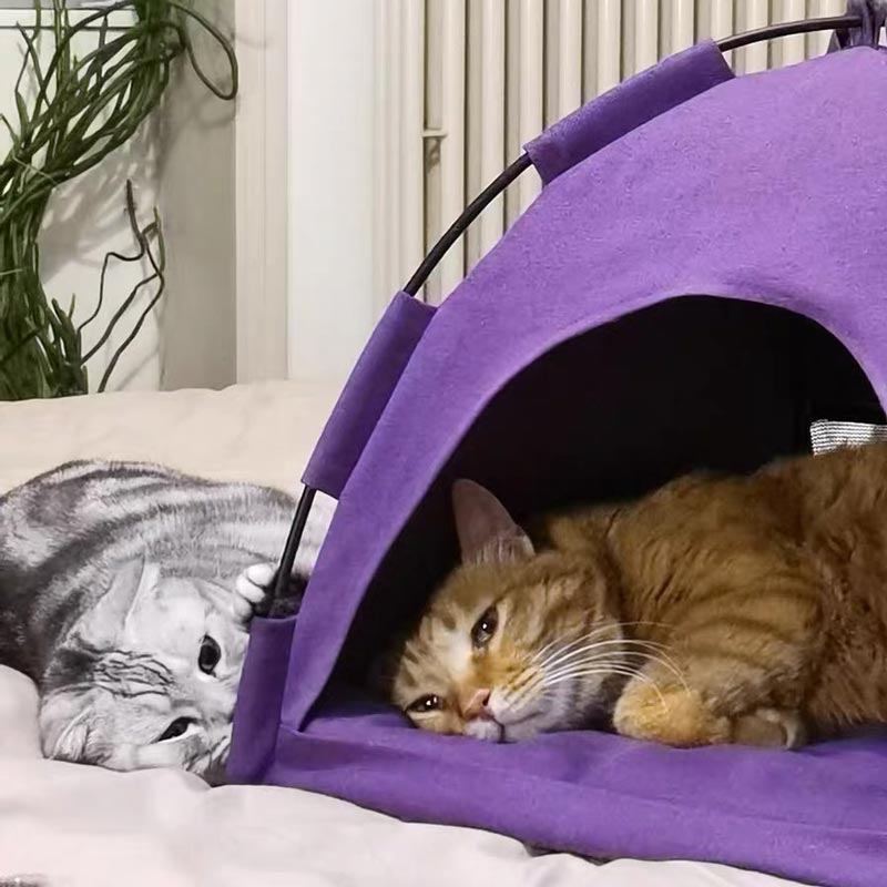 Furrytail Camping Tent Cat House (2 Colours) - CreatureLand