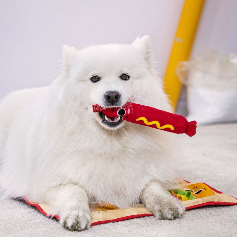 https://creaturelandstore.com/cdn/shop/products/gigwi-pet-fast-food-party-snuffle-mat-interactive-dog-toy-593242.jpg?v=1695675286&width=800