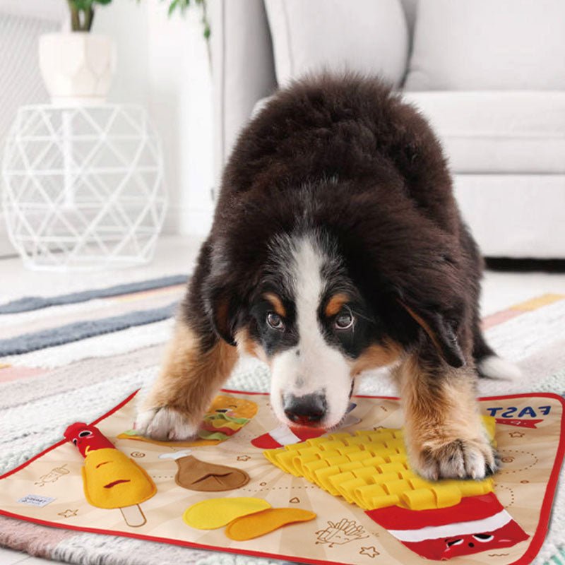 https://creaturelandstore.com/cdn/shop/products/gigwi-pet-fast-food-party-snuffle-mat-interactive-dog-toy-961789.jpg?v=1695675286&width=800