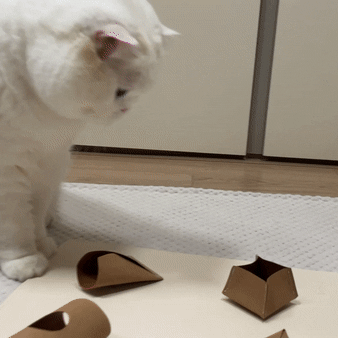 Gotta Go Home Vegan Leather Cat Puzzle Mat ( Cat-Ch ) - Small - CreatureLand