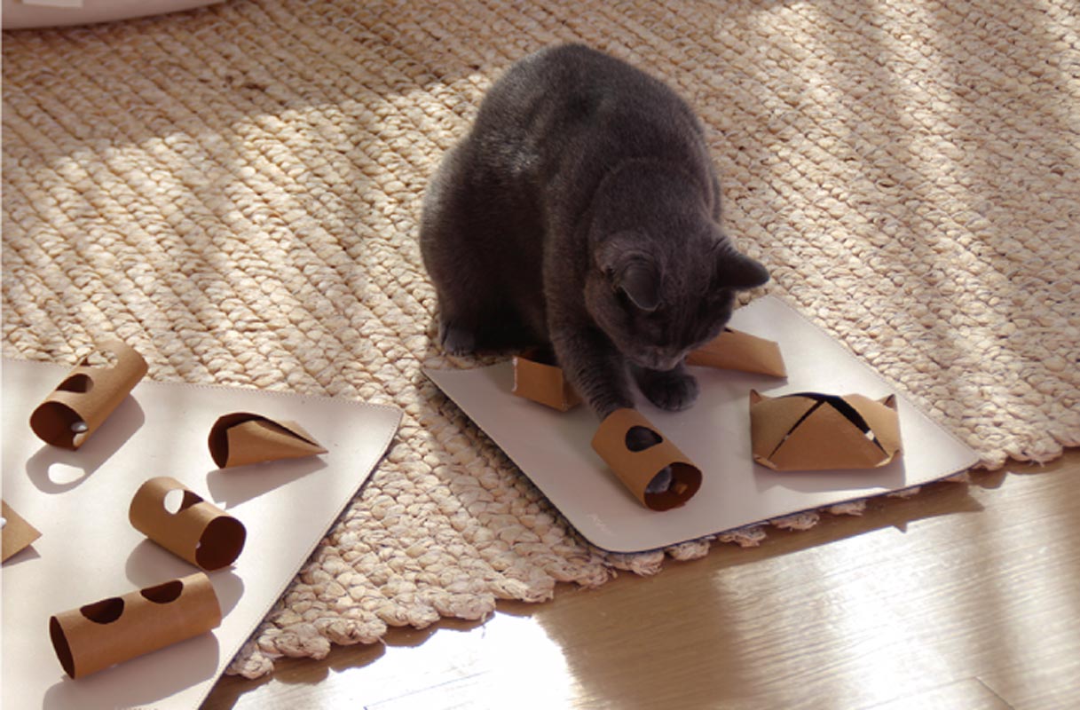 Gotta Go Home Vegan Leather Cat Puzzle Mat ( Cat-Ch ) - Small - CreatureLand