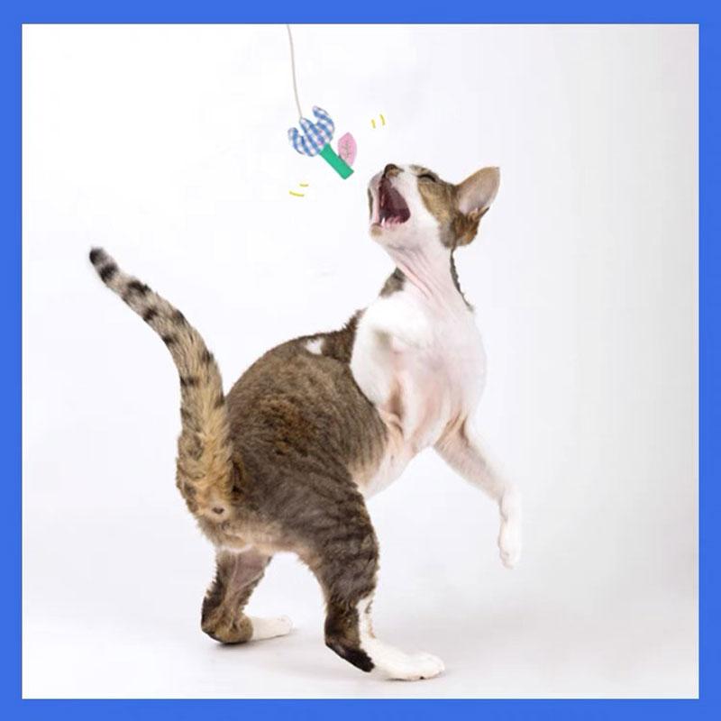 Gulu Check The Flower Cat Teaser Toy (2 Options) - CreatureLand
