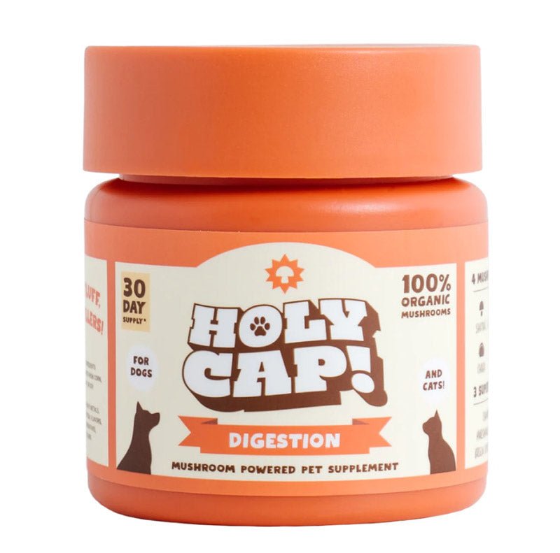 Holy Cap Digestion | Holy Cap Mushroom (60g) - CreatureLand