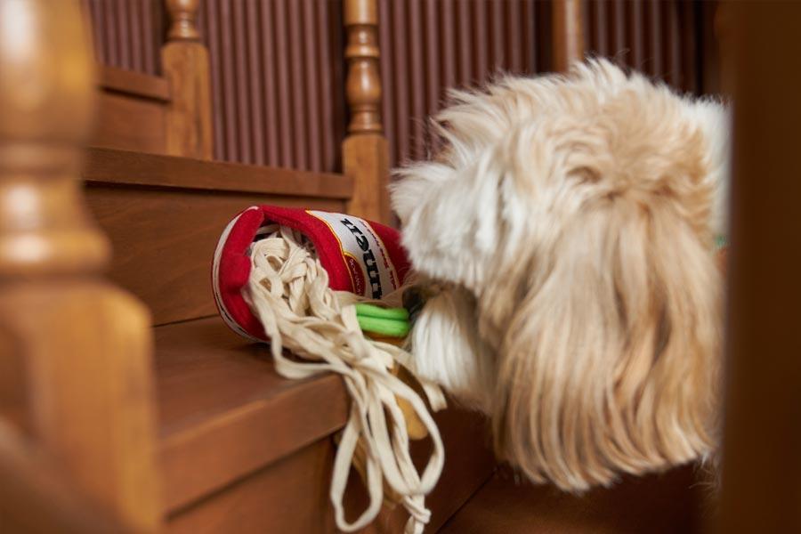 Howlpot Ramen Nose Work Dog Toy - CreatureLand