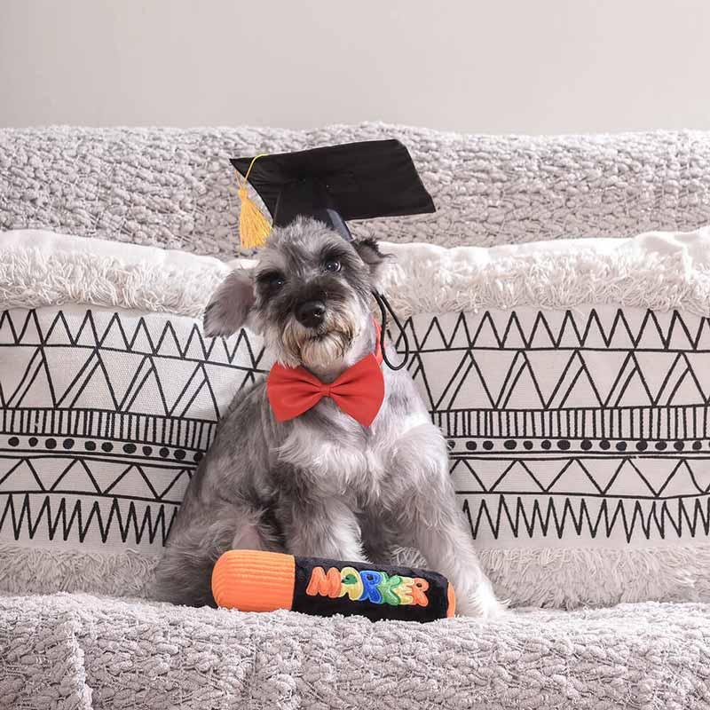 HugSmart Bark to school – Marker Pen Dog Toy - CreatureLand