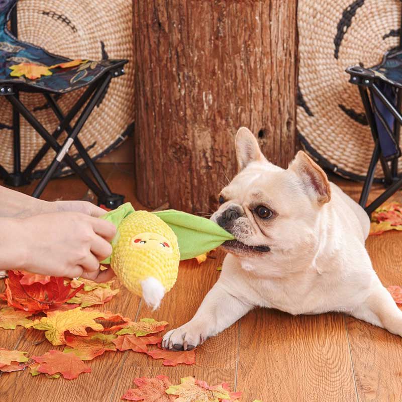 HugSmart Camping Pups – Corn Dog Toy - CreatureLand