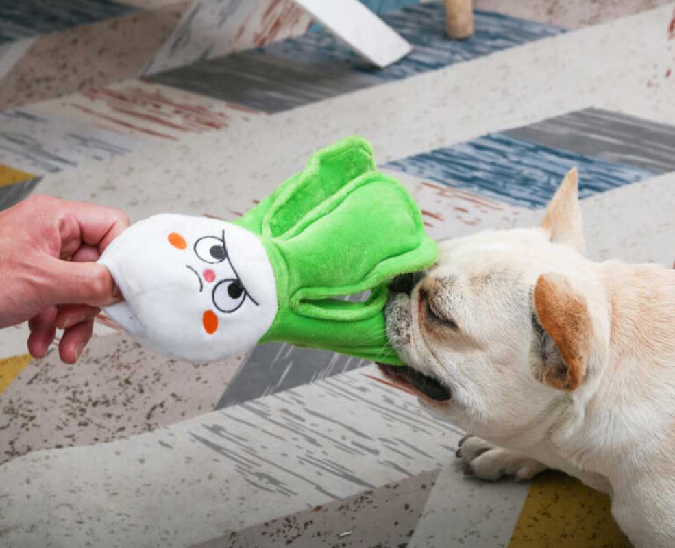 HugSmart Feisty Veggie – Bok Choy Dog Toy - CreatureLand