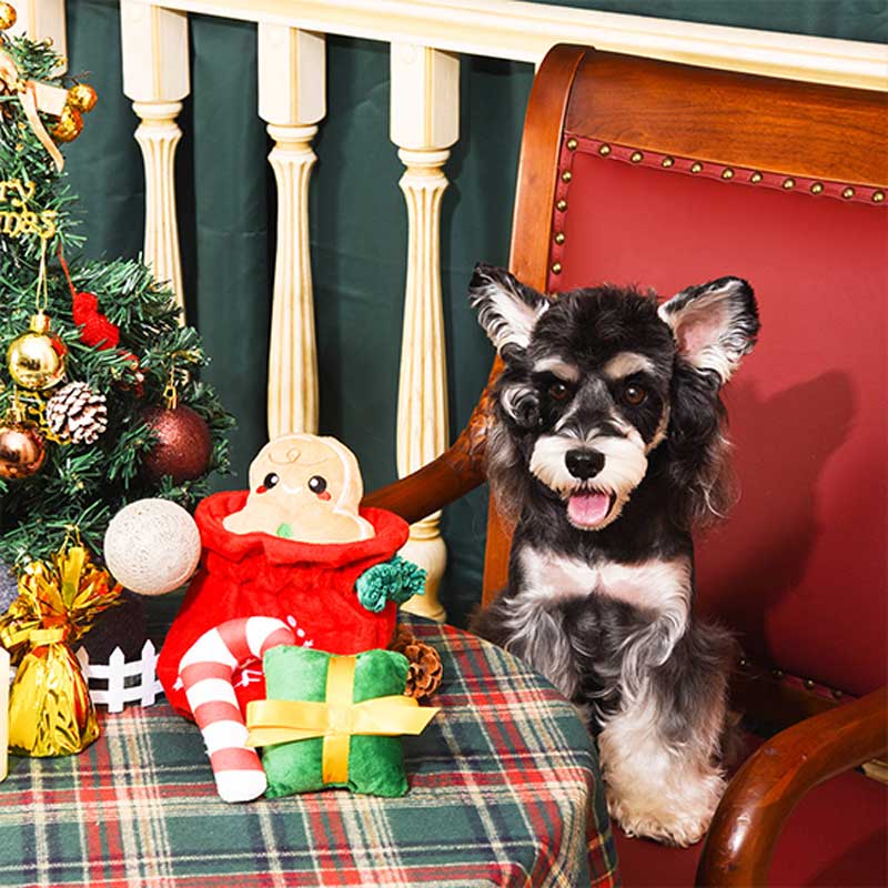 HugSmart Happy Woofmas — Christmas Gift Bag Puzzle Hunting Toy - CreatureLand