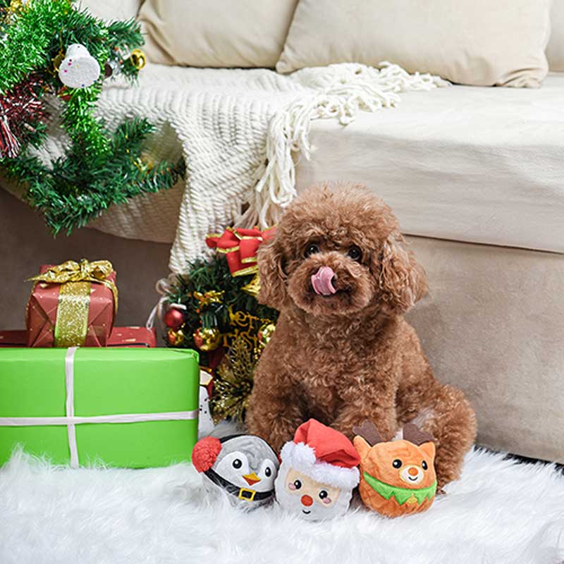 HugSmart Happy Woofmas – Santa Squeaker Toy - CreatureLand