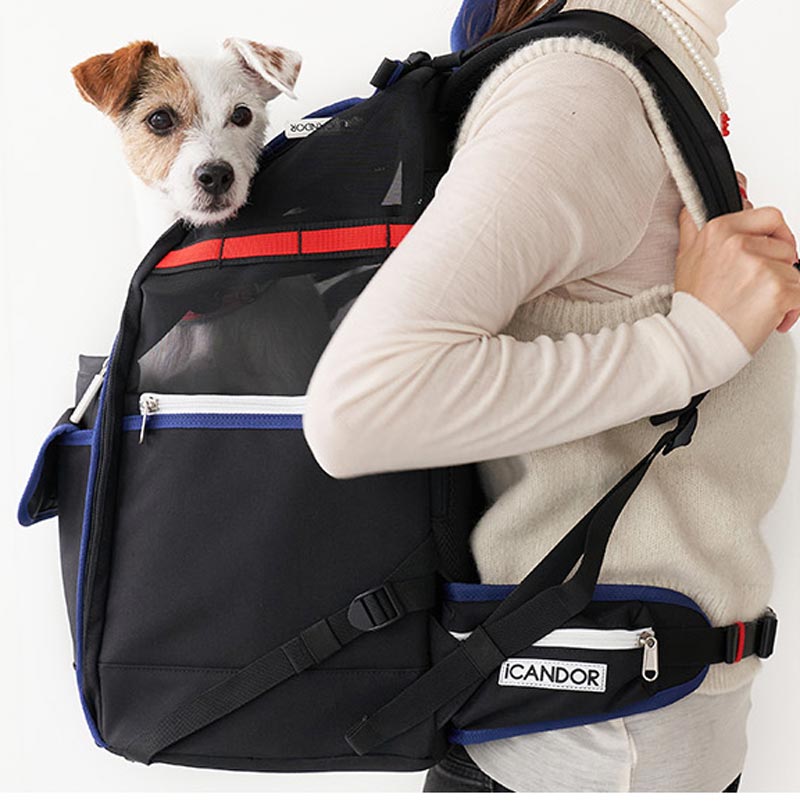 iCandor Jige pet backpack - Dynamic Black (2 Sizes) - CreatureLand
