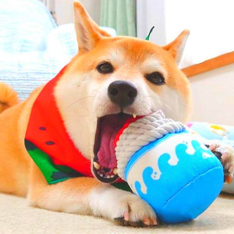 Kashima Japanese Ice Bowl Dog Toy - CreatureLand