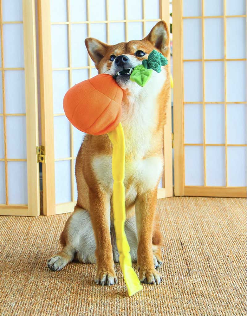 Kashima Orange Nose Work Dog Toy - CreatureLand