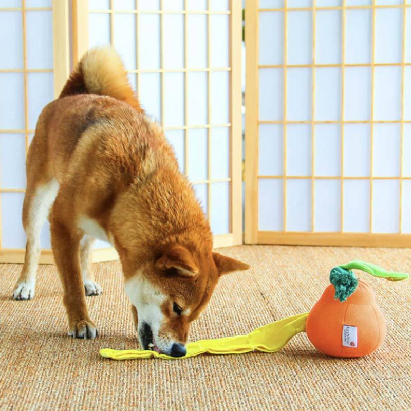 Kashima Orange Nose Work Dog Toy - CreatureLand