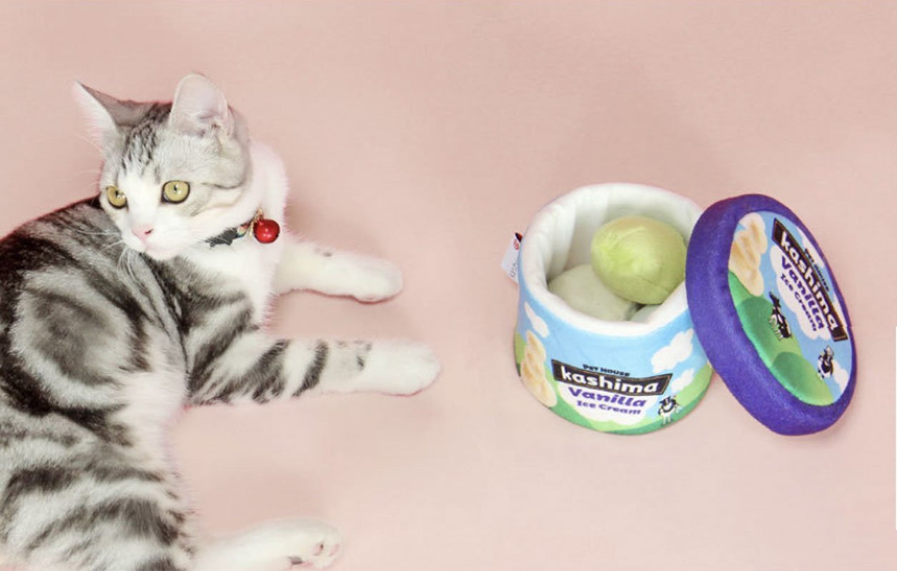 Kashima Vanilla Ice Cream Bucket Nose Work Cat Toy - CreatureLand