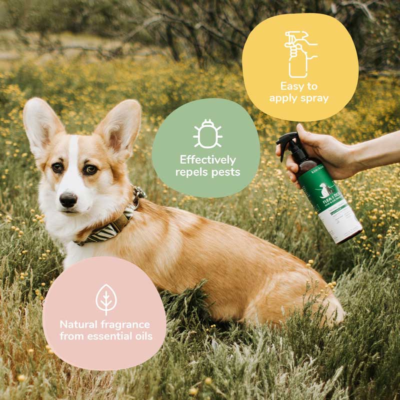 Kin+Kind Flea & Tick Lemongrass Repel Spray For Dogs and Cats - 354ml - CreatureLand