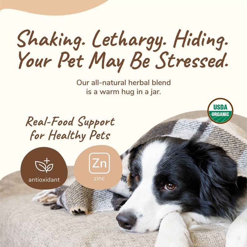 Kin+Kind Organic Healthy Calm Dog and Cat Supplement - CreatureLand
