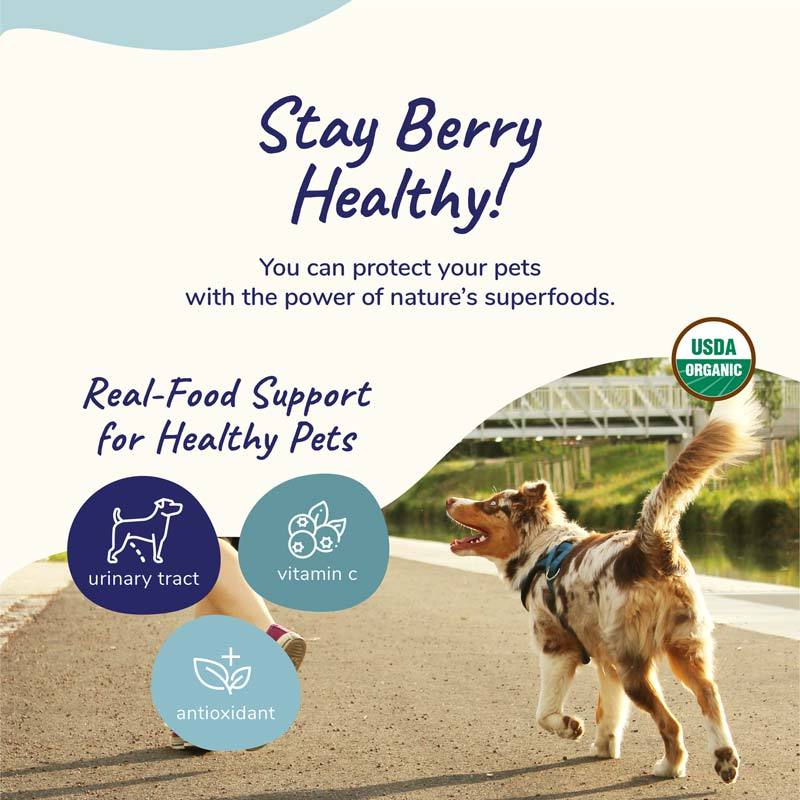Kin+Kind Organic Healthy Immunity & Urinary Tract Dog and Cat Supplement - CreatureLand