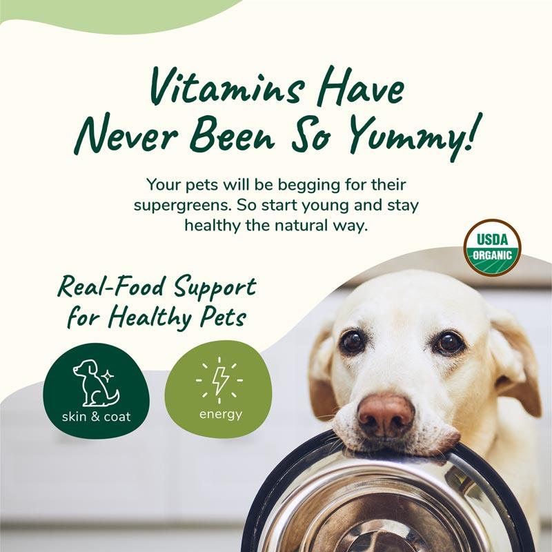 Kin+Kind Organic Healthy Skin & Coat Dog and Cat Supplement - CreatureLand