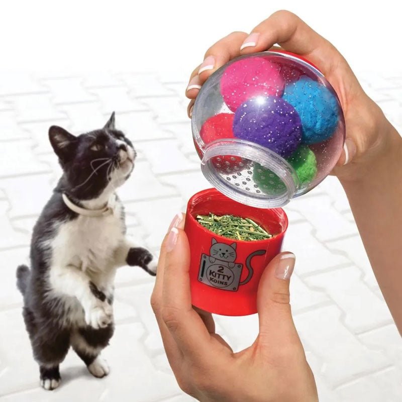 Jouet pour chat Catnip papillon cat toy : Jouets pour chat SPOT animalerie  - botanic®