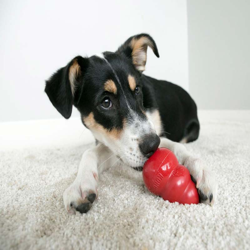 KONG Classic Senior Dog Toy - Soft Rubber Treat Dispensing Chew - S, M, L Sizes