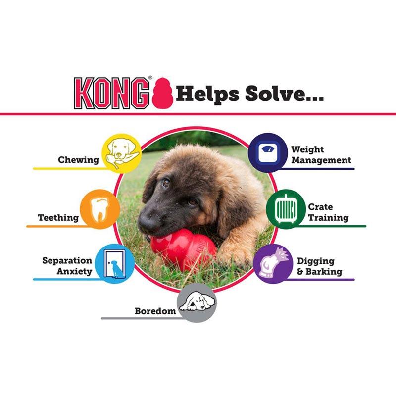 KONG® KONG® Classic Puppy Toy (2 Colours) - CreatureLand