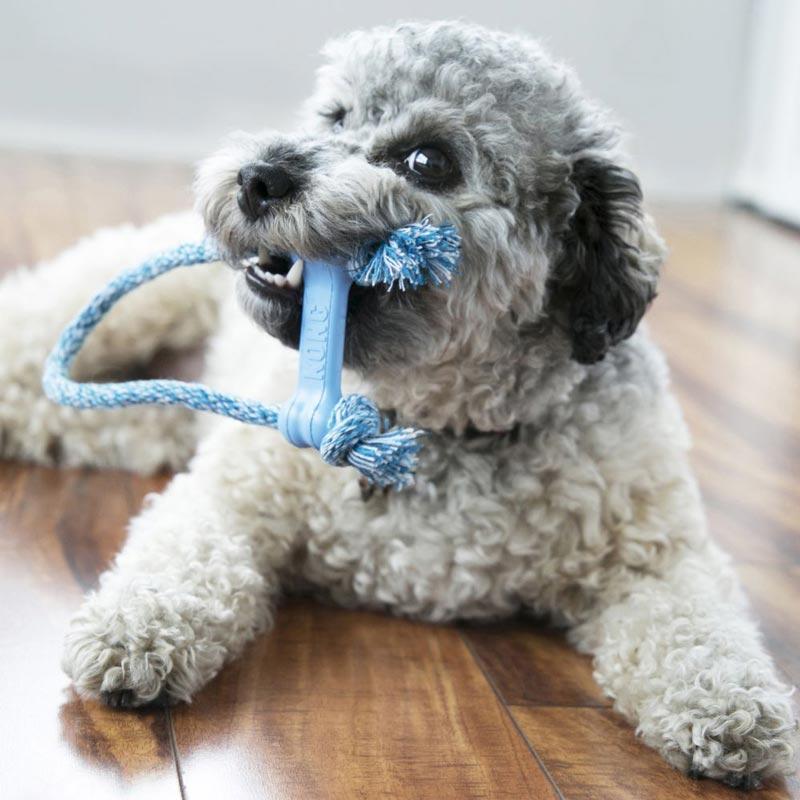 KONG® Puppy Goodie Bone™ with Rope (2 Colours) - CreatureLand