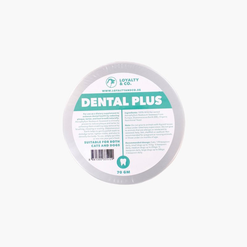Loyalty & Co. Loyalty & Co. Dental Plus For Cats & Dogs (2 Sizes) - CreatureLand