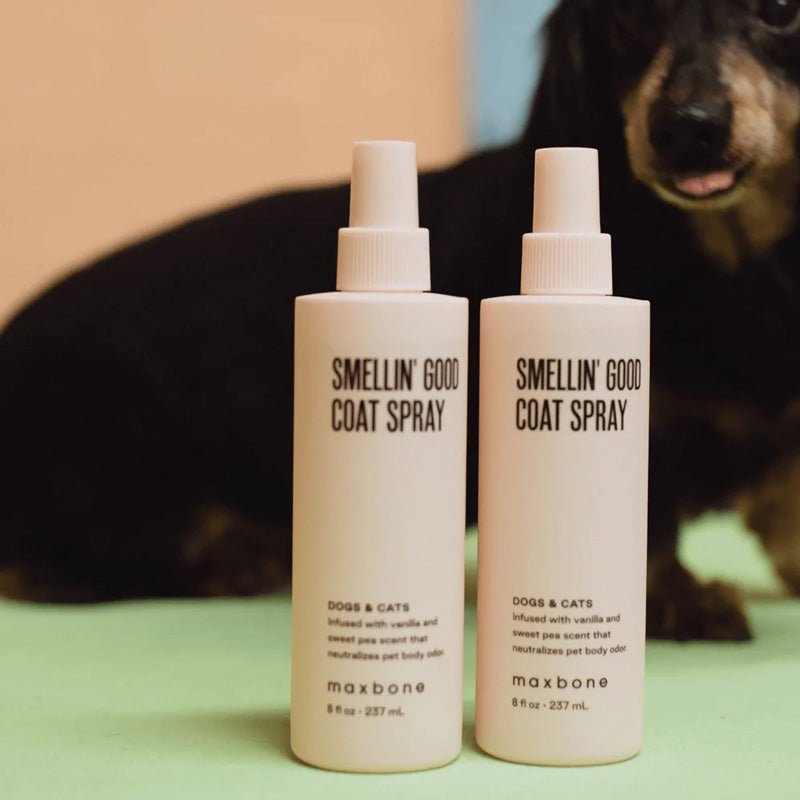 Maxbone Smellin' Good Coat Spray For Dogs & Cats (237ml) - CreatureLand