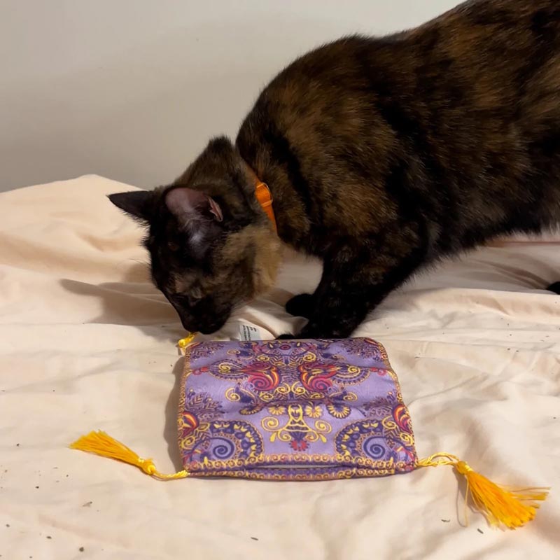 Meowijuana Get a Ride Refillable Magic Carpet Cat Toy - CreatureLand