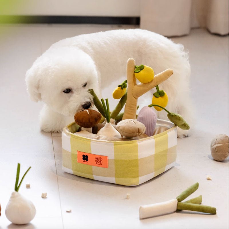 https://creaturelandstore.com/cdn/shop/products/mewoofun-vegetable-farm-nosework-dog-toy-190365.jpg?v=1701304206&width=800