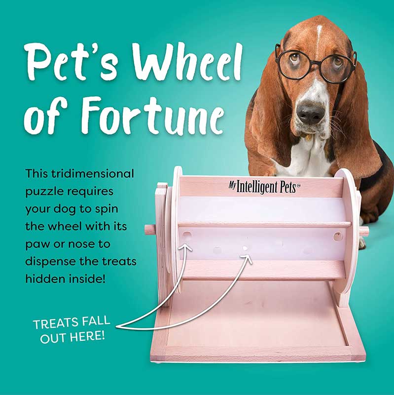 My Intelligent Pets Interactive Puzzle Game - Pet's Fortune Wheel - CreatureLand